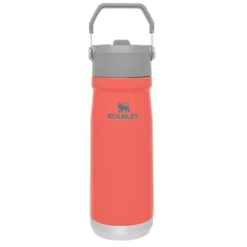 Stanley Flip Watter Bottle 650ml